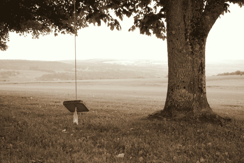 Lonely Swing    Rhondalee Spiros